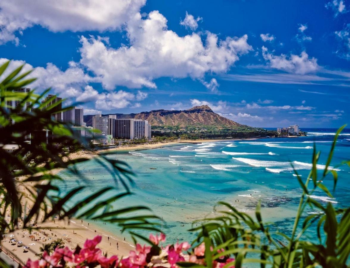 City View Studio With Pool Access In Aloha Surf! 檀香山 外观 照片